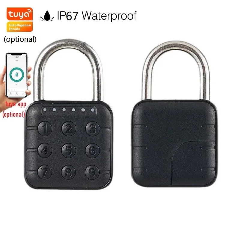 Smart Home Wellness - EGFirtor Tuya Smart Home Biometrisches digitales