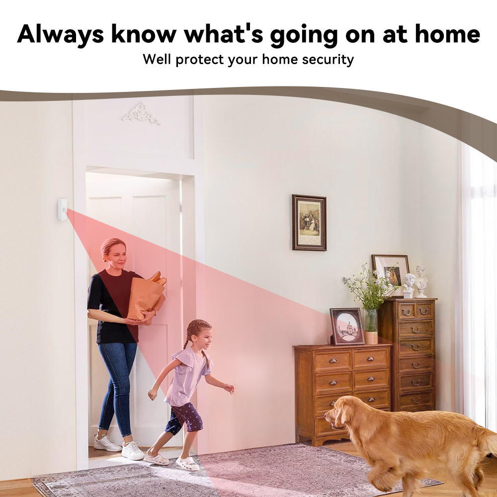 Tuya Smart PIR-Bewegungssensor – Smart Home Web Bewertung und Preis