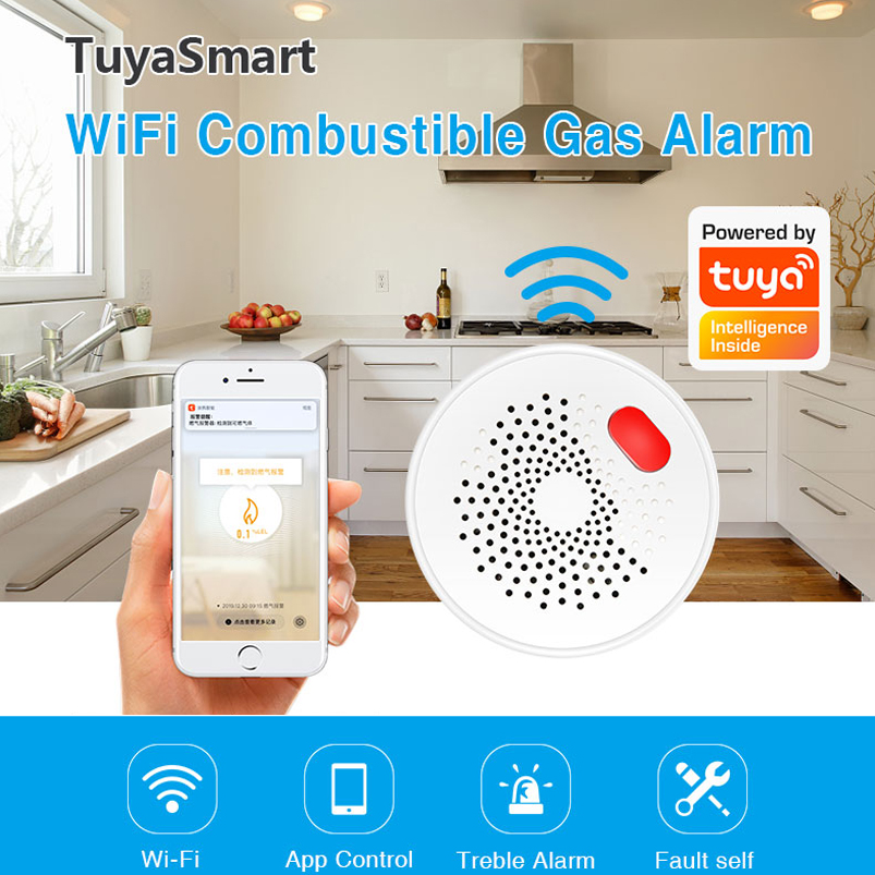 EU/US/UK Tuya Smart Home 2.4G  – Smart Home Web Bewertung und Preis