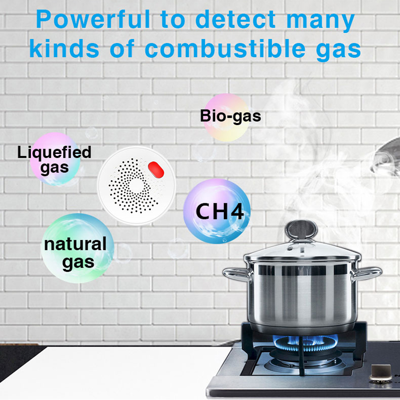 EU/US/UK Tuya Smart Home 2.4G  – Smart Home Web Bewertung und Preis