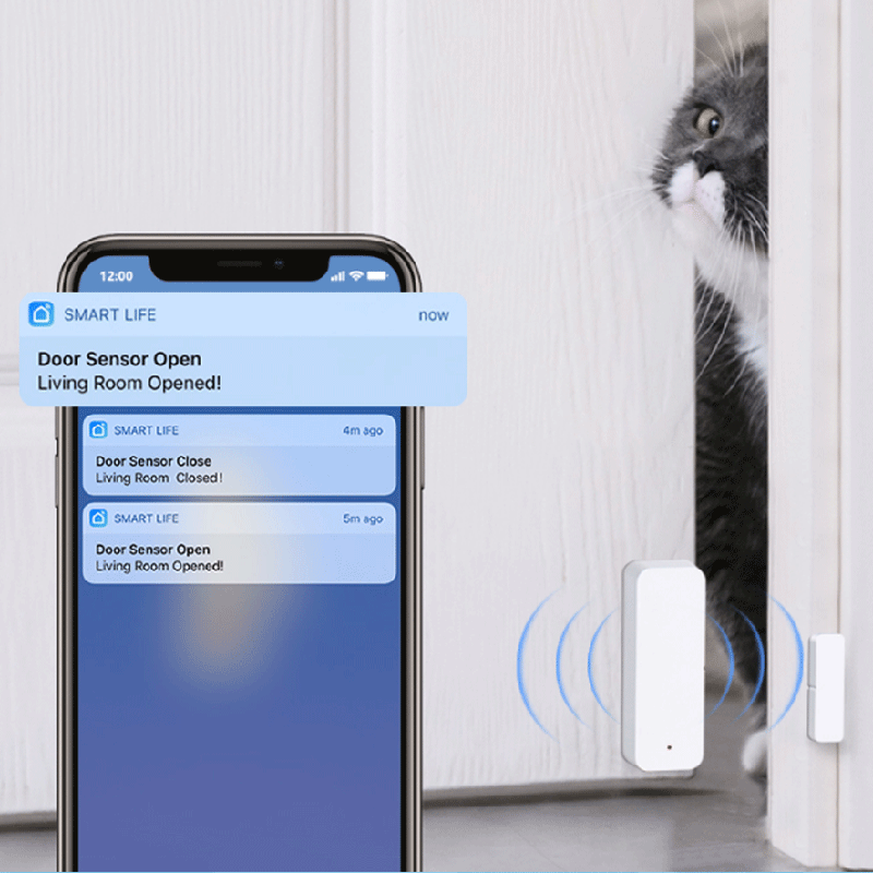 Tuya WiFi Zigbee Tür- und Fens – Smart Home Web Bewertung und Preis