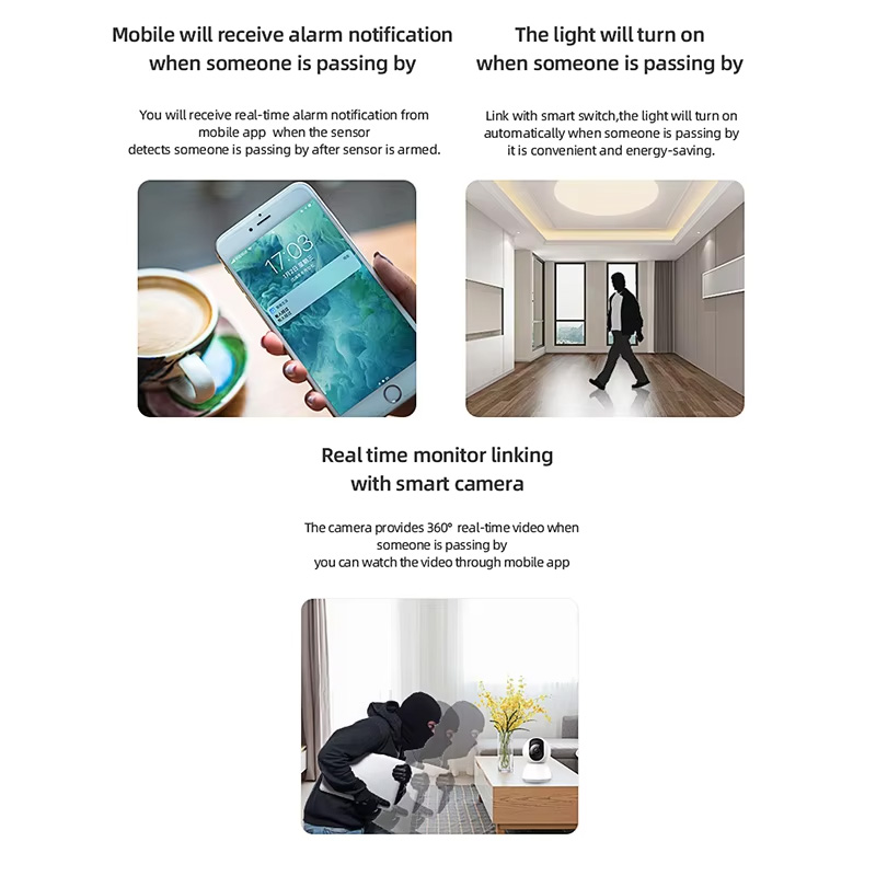 Intelligenter PIR-Bewegungssen – Smart Home Web Bewertung und Preis