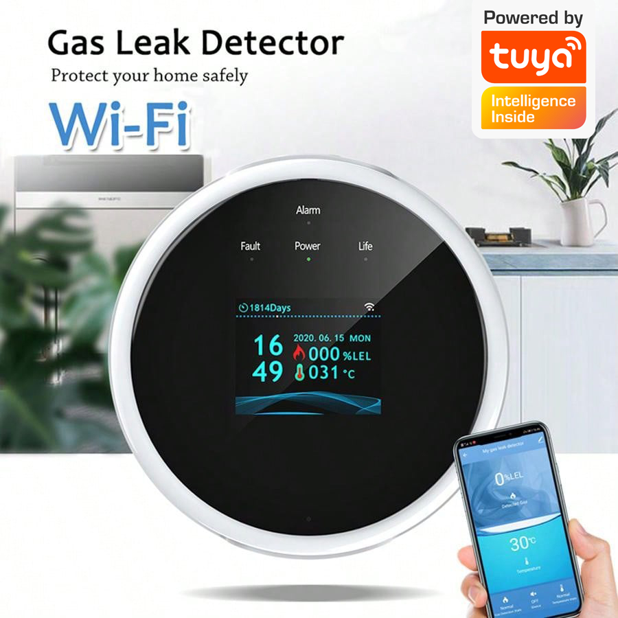 2,4G WiFi Gasalarm-Sensor, Det – Smart Home Web Bewertung und Preis